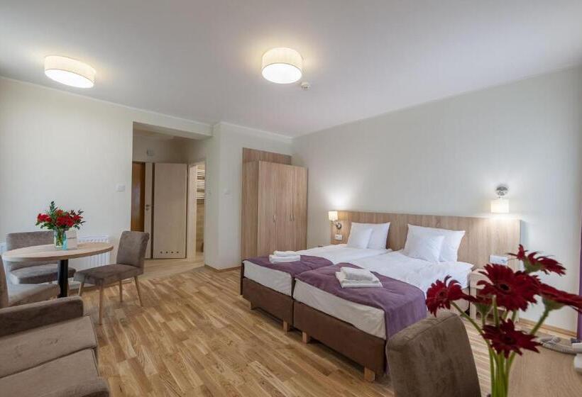 اتاق استاندارد, Silesia Krynica