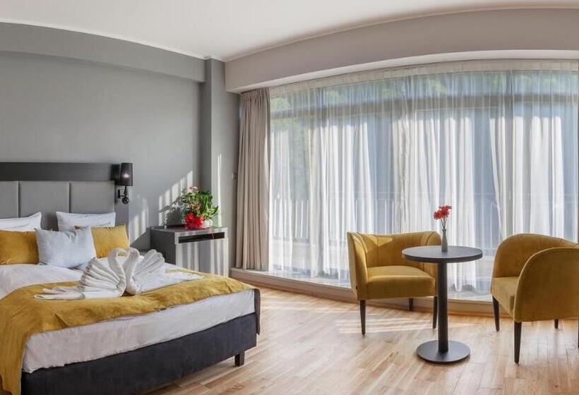 اتاق لوکس, Silesia Krynica