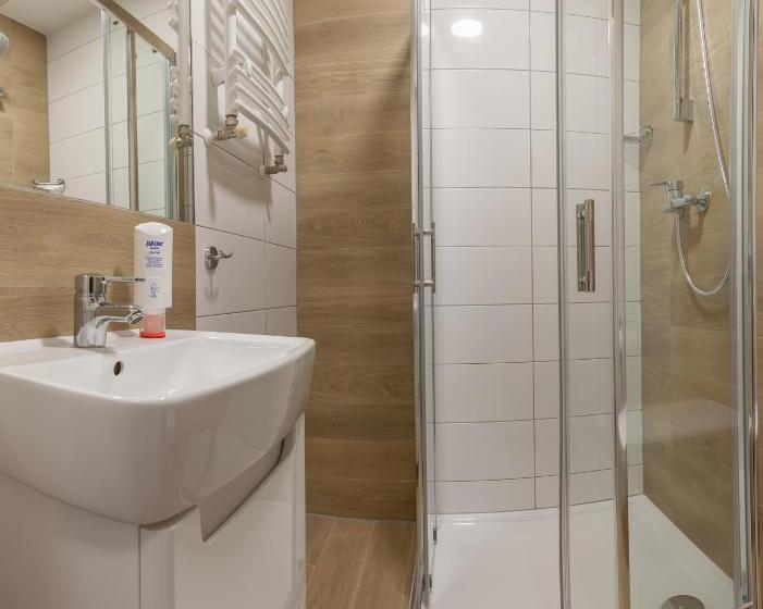 اتاق استاندارد یک نفره, Silesia Krynica