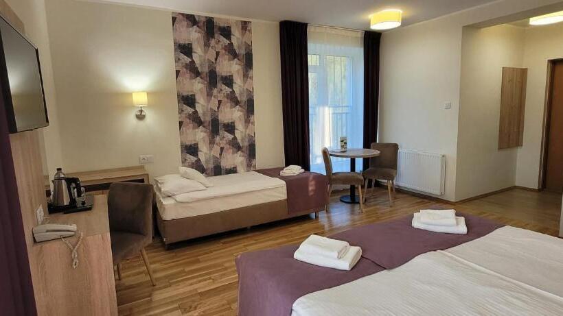 اتاق لوکس سه تخته, Silesia Krynica