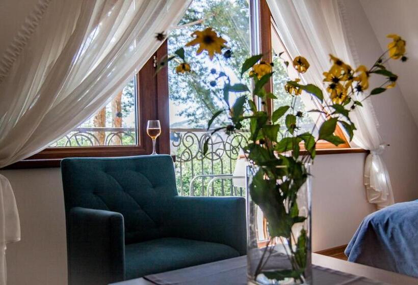 סטודיו סטנדרט עם נוף, Wilcznik 10