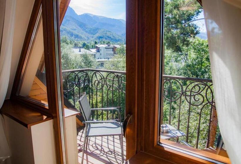 סטודיו סטנדרט עם נוף, Wilcznik 10