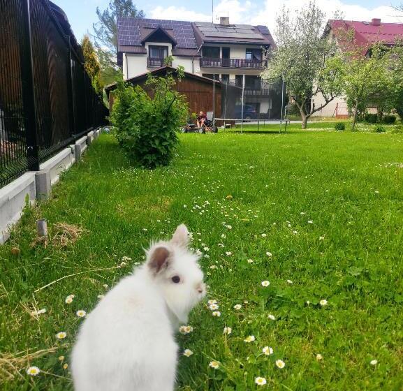 Люкс с гидромассажем, Pokoje I Apartamenty U Sabiny   Apartament I Domek Z Jacuzzi Na Wyłączność   Pozostałe Pokoje Bez Ja
