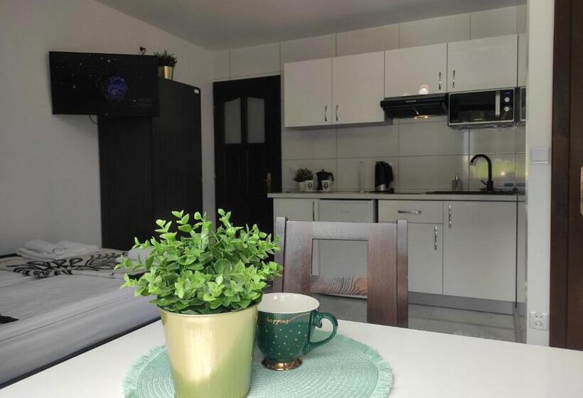 バルコニー付きスタンダードステューディオ, Pokoje I Apartamenty U Sabiny   Apartament I Domek Z Jacuzzi Na Wyłączność   Pozostałe Pokoje Bez Ja