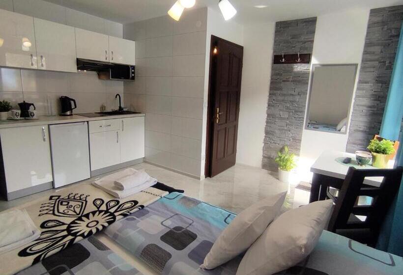 Студио Стандарт с Балконом, Pokoje I Apartamenty U Sabiny   Apartament I Domek Z Jacuzzi Na Wyłączność   Pozostałe Pokoje Bez Ja
