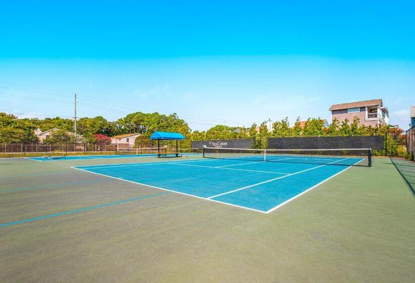 Апартаменты 3 Спальни, Sea Colony  14001 Tall Pines