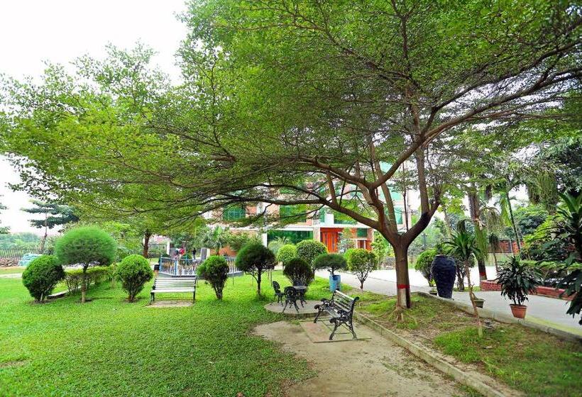 اتاق لوکس با تخت بزرگ, Shaira Garden Hotel & Resorts