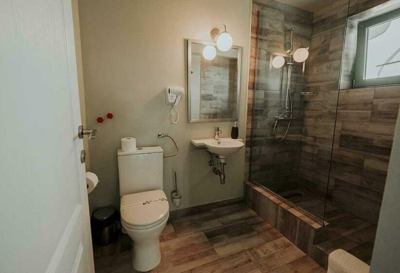 غرفة ديلوكس, Pensiunea Delta Drill