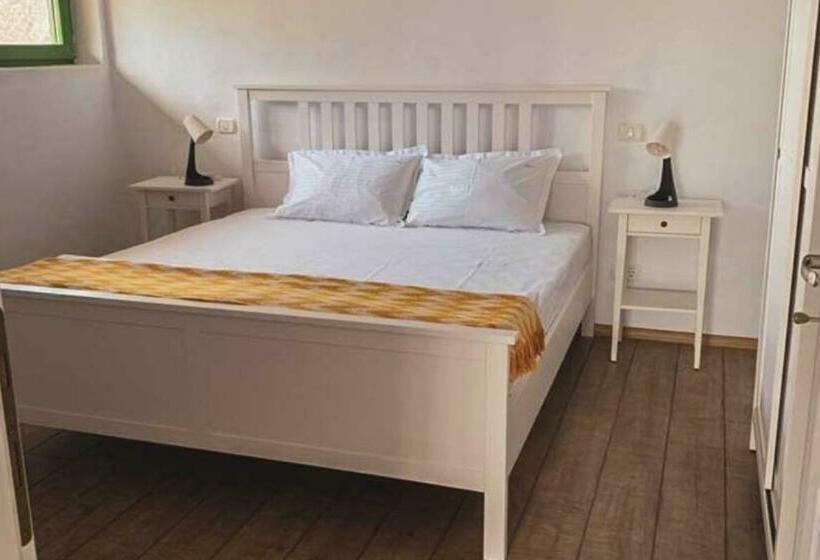 إستديو عائلى, Pensiunea Delta Drill