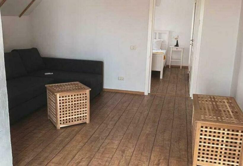 إستديو عائلى, Pensiunea Delta Drill