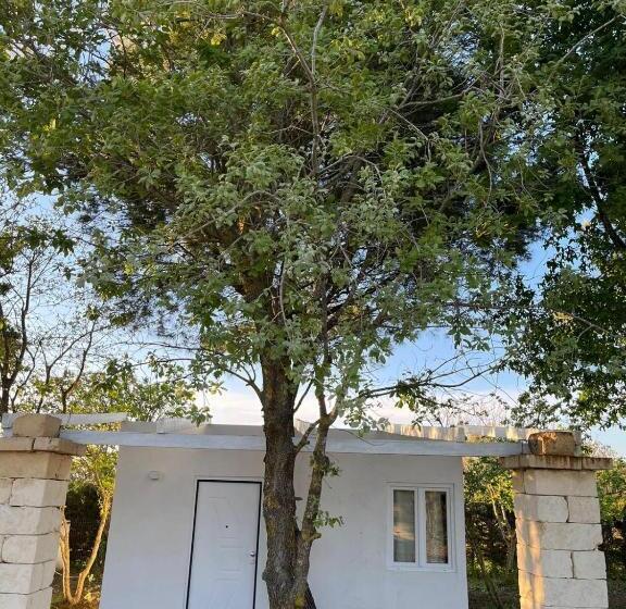 סוויטת ג'וניור נוף לגינה, Agriturismo Tenuta La Monaca