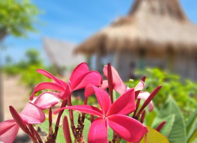 Вилла 1 Спальня, Hars Garden Sumba