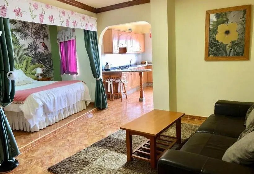 1ベッドルームのスーペリアアパートメント, Vv Apartamentos Estrella Del Norte