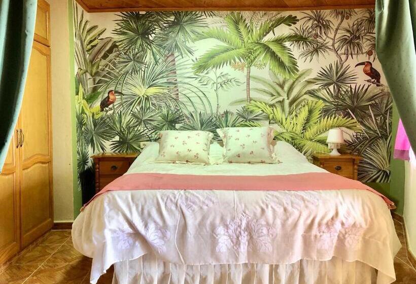 带1个卧室的高级公寓, Vv Apartamentos Estrella Del Norte