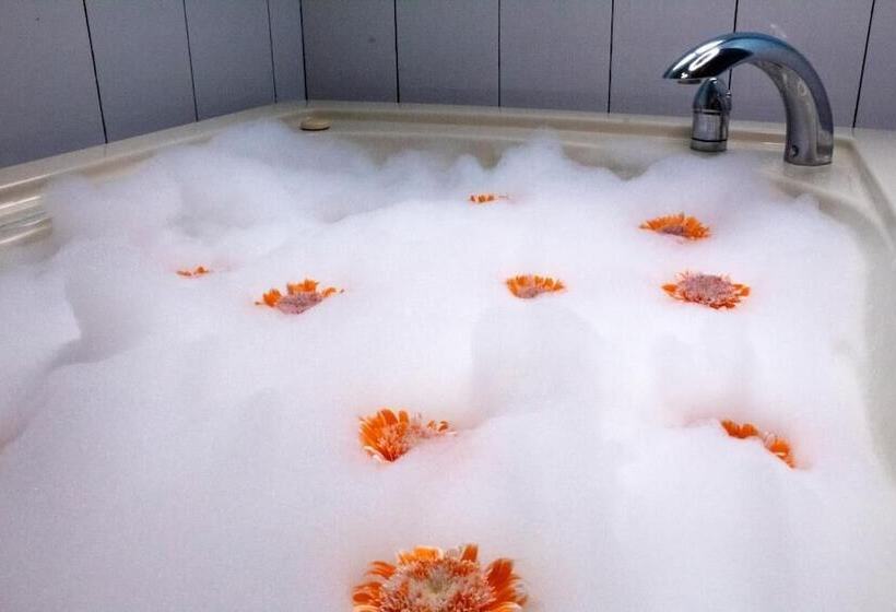 חדר דלוקס, Alebrije Hotel Boutique