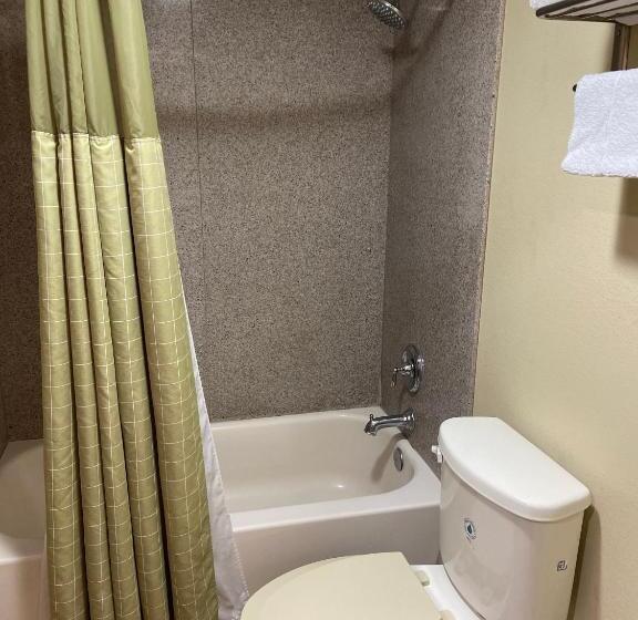 带大床的标准间, Victorian Inn