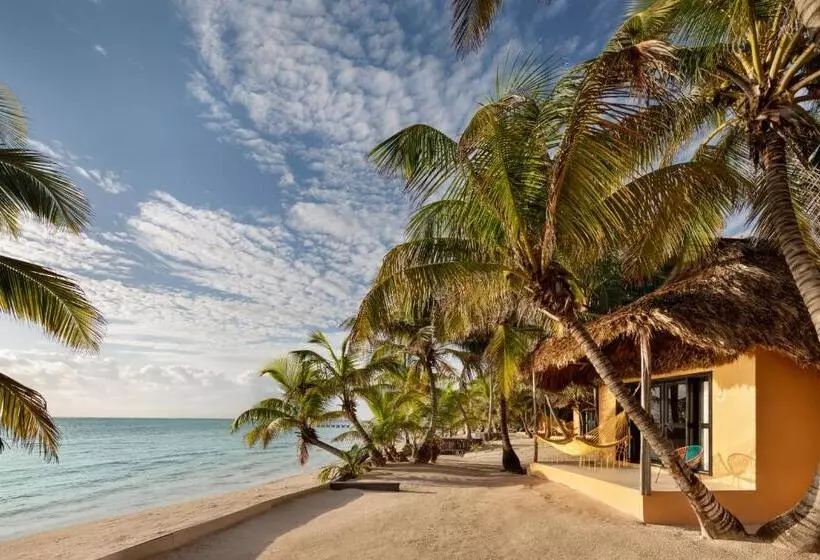 キングサイズベッドのスタンダードルーム, Matachica Beach Resort And Spa