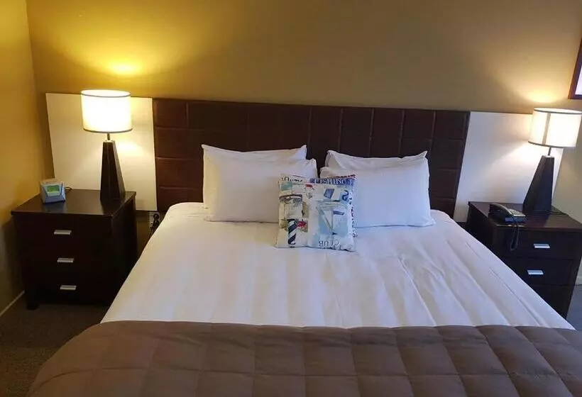 キングサイズベッドのスタンダードルーム, Quality Hotel Oceans Tutukaka