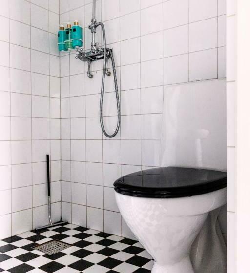 Номер Стандарт, Grå Gåsen