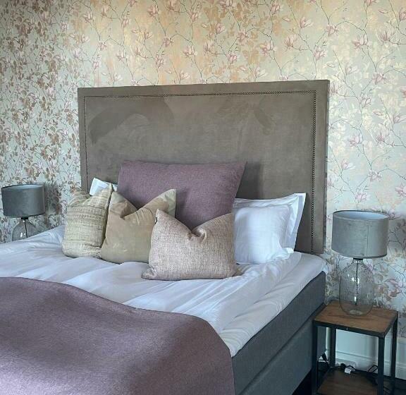 Полулюкс Повышенной Комфортности, Grå Gåsen