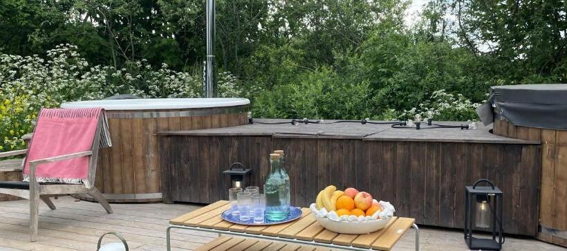 Номер Стандарт Вид на Бассейн, Grå Gåsen