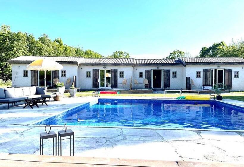 Номер Стандарт Вид на Бассейн, Grå Gåsen