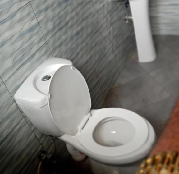 이코노미 룸, Safari Park House