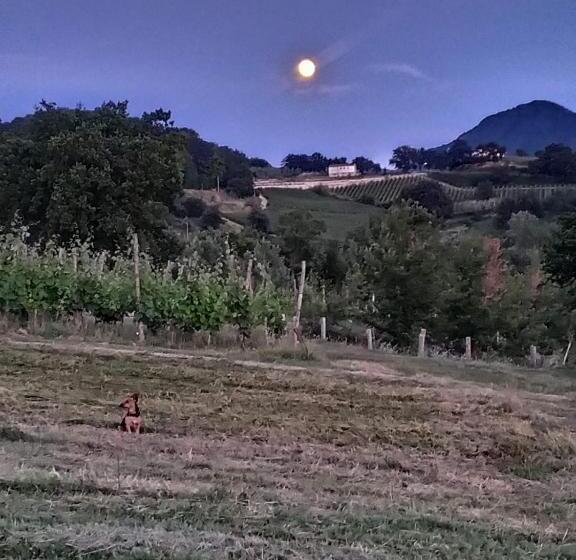 غرفة كومفورت ثلاثية, Tenuta Del Savonisco