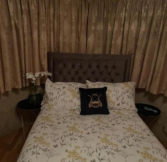 디럭스 룸, Tj Homes