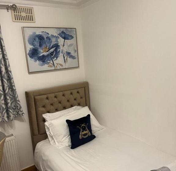 싱글 디럭스 룸, Tj Homes