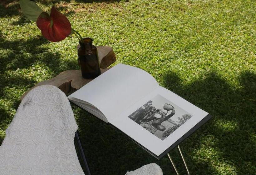 스탠다드 룸 킹사이즈 침대, Kooks Paradise