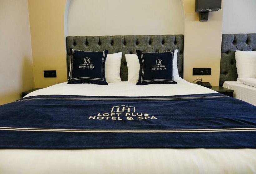 اتاق لوکس یک تخته, Loft Plus Hotel S
