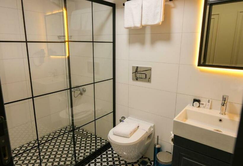 اتاق لوکس یک تخته, Loft Plus Hotel S