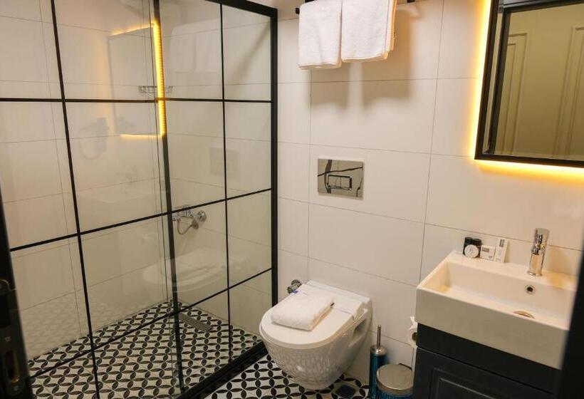اتاق استاندارد سه تخته با بالکن, Loft Plus Hotel S