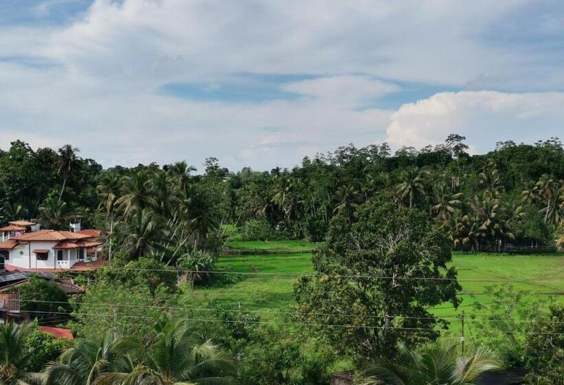 شقة غرفة نوم واحدة مزودة بشُرفة, Y Villa Residencies