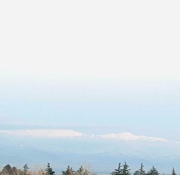 Standard Room with Balcony, Green Hotel Ang