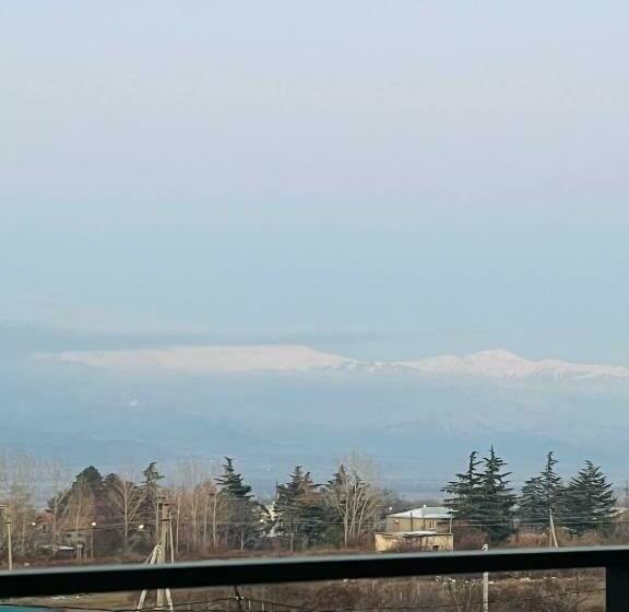 Standard Room with Balcony, Green Hotel Ang