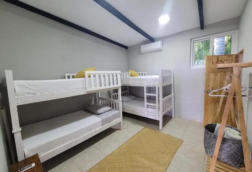 四人标准间, Looking2good