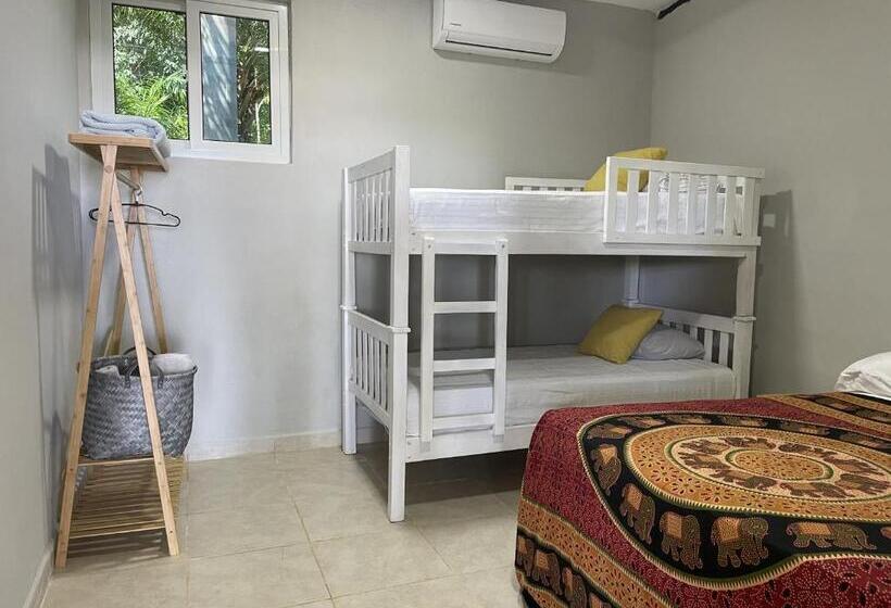 豪华三人间, Looking2good