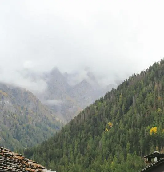 Standard-huone, Maison Farinet