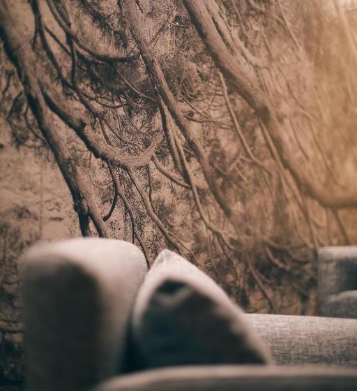 غرفة قياسية, Maison Farinet