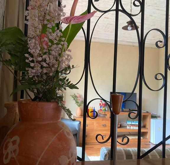 수피리어 스위트, Pousada Flor De íris