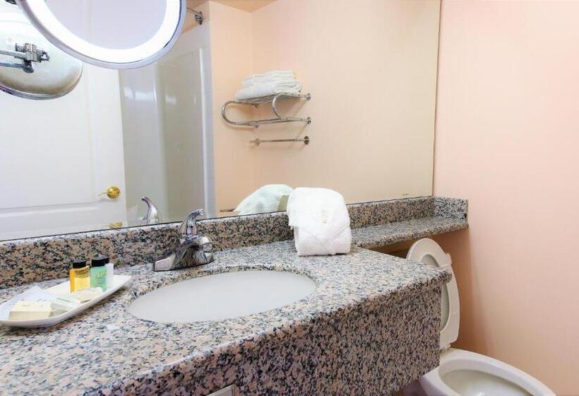 Premium Szoba, Crystal Star Inn Edmonton Airport With Free Shuttle To And From Airport