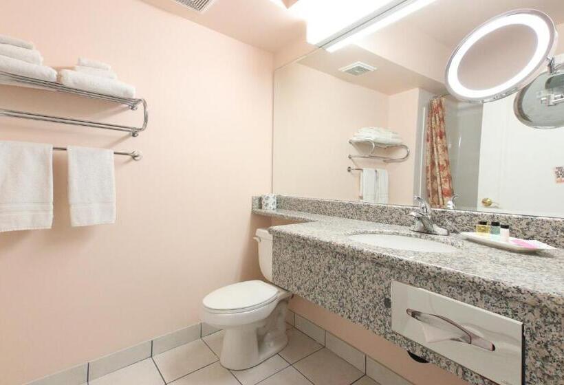 Standard Szoba King Size Bed, Crystal Star Inn Edmonton Airport With Free Shuttle To And From Airport