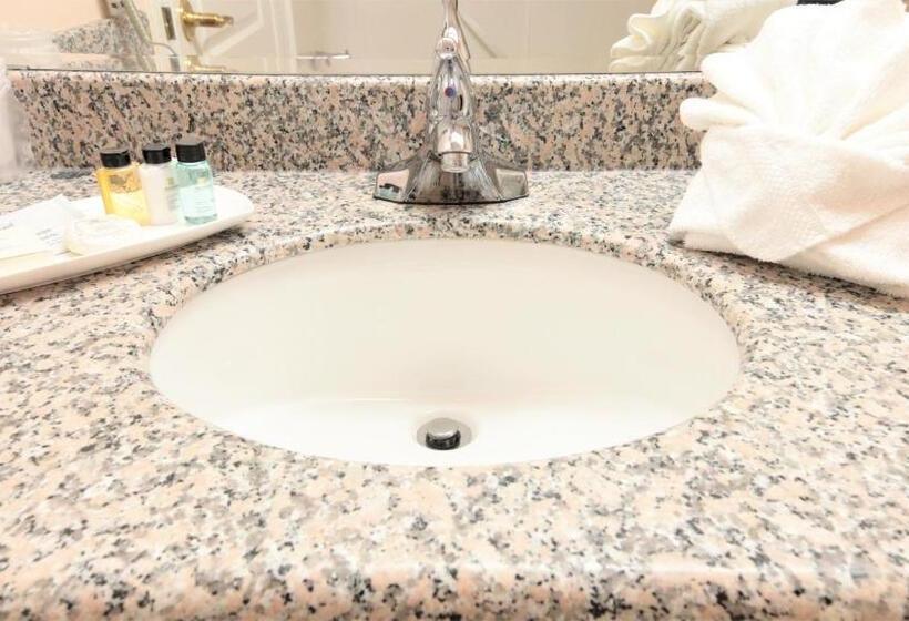 Premium Szoba, Crystal Star Inn Edmonton Airport With Free Shuttle To And From Airport