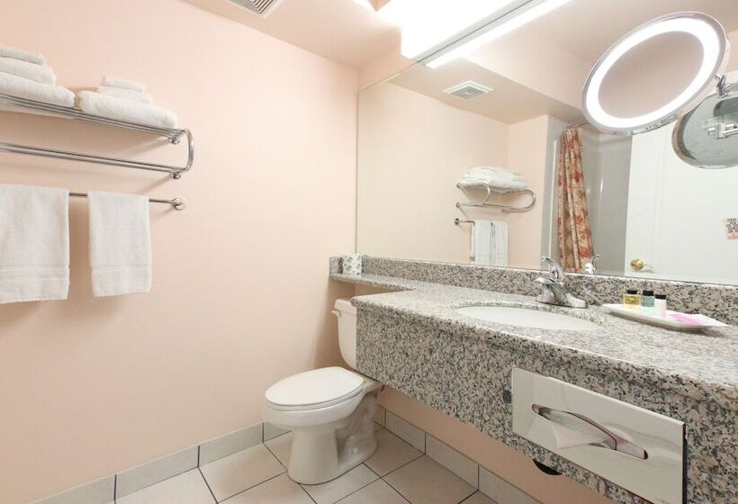 Номер Премиум, Crystal Star Inn Edmonton Airport With Free Shuttle To And From Airport