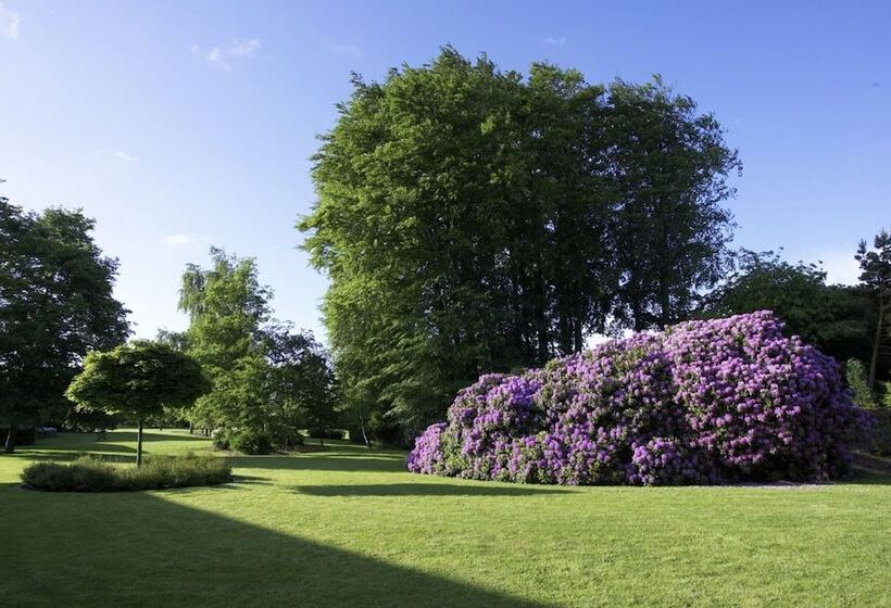 스탠다드 트리플 룸, Frederik Vi S