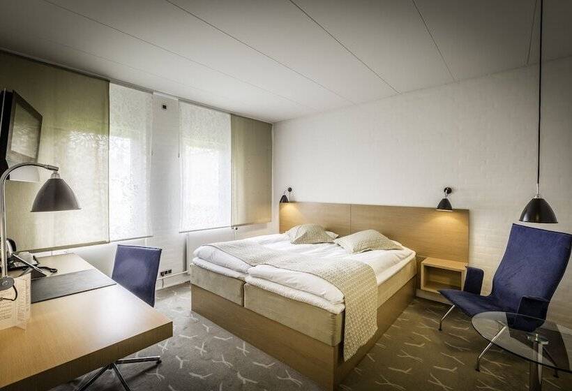 비즈니스룸, Frederik Vi S