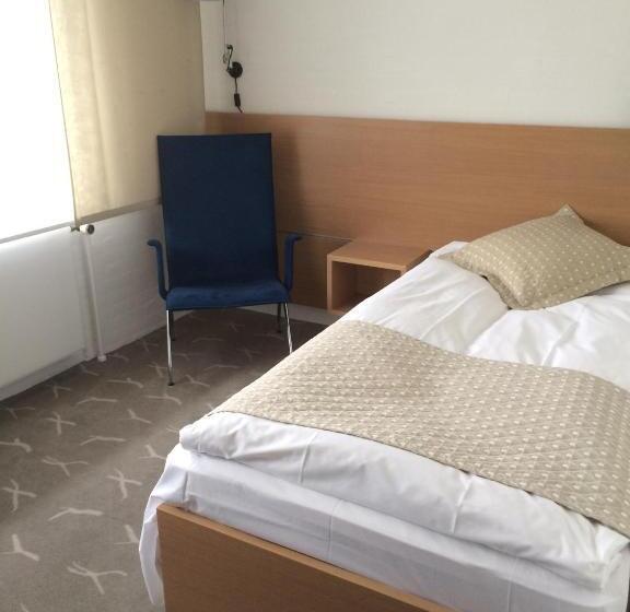 스탠다드 싱글 룸, Frederik Vi S