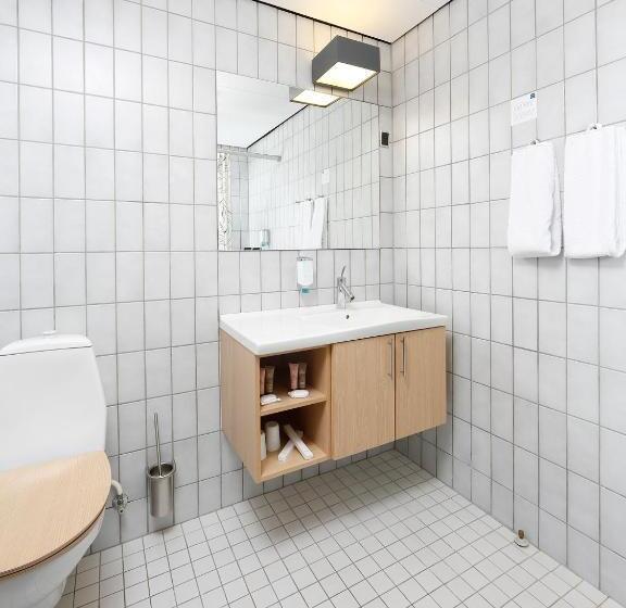 비즈니스룸, Frederik Vi S